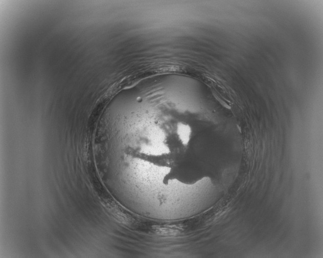 X0000064770359200602242002