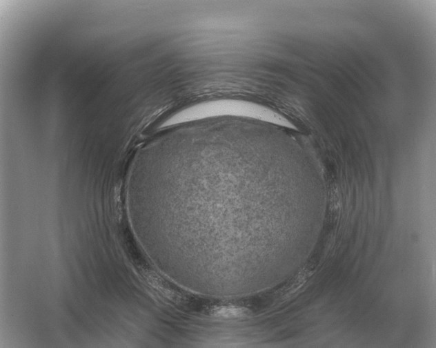 X0000064770360200602242003