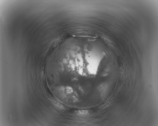 X0000064770361200602242003