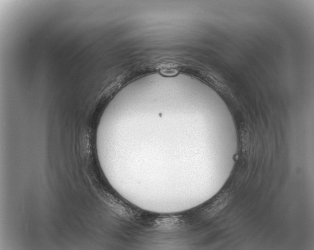 X0000064770362200602242003