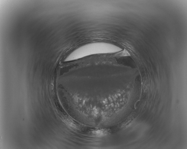 X0000064770365200602242003