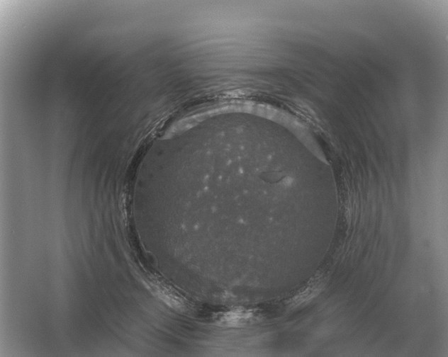 X0000064770366200602242003