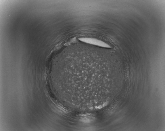 X0000064770367200602242003