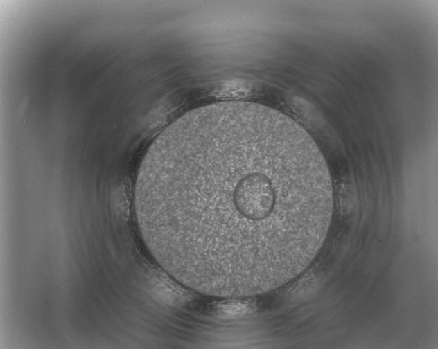 X0000064770370200602242003