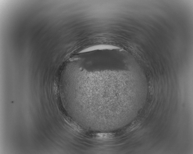 X0000064770371200602242003