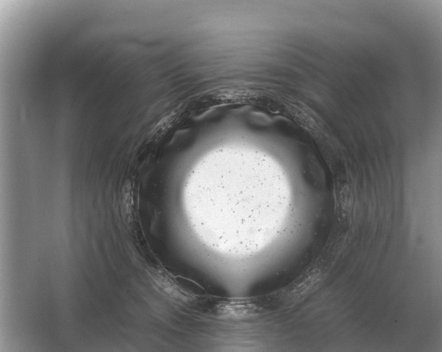 X0000064770372200602242003