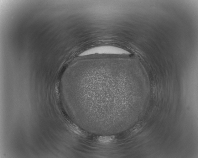 X0000064770373200602242003