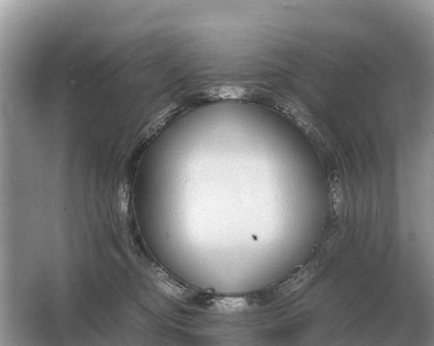 X0000064770374200602242003