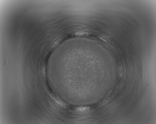 X0000064770375200602242003