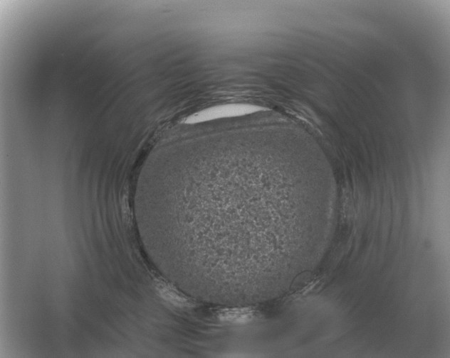 X0000064770377200602242003