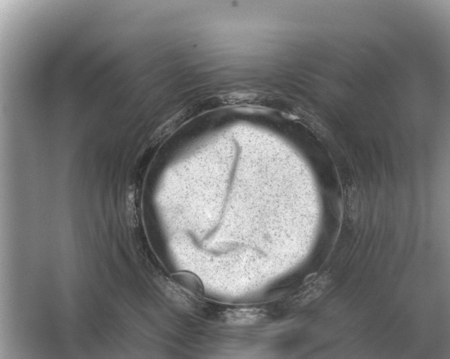 X0000064770378200602242003