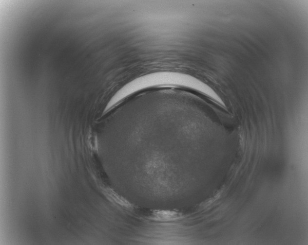 X0000064770380200602242003