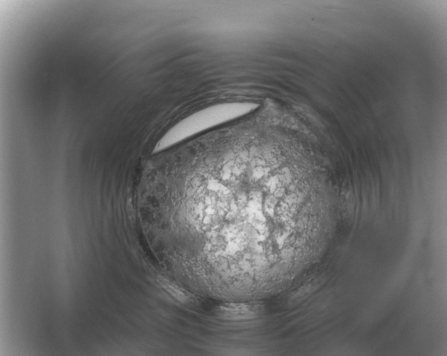 X0000064770381200602242003