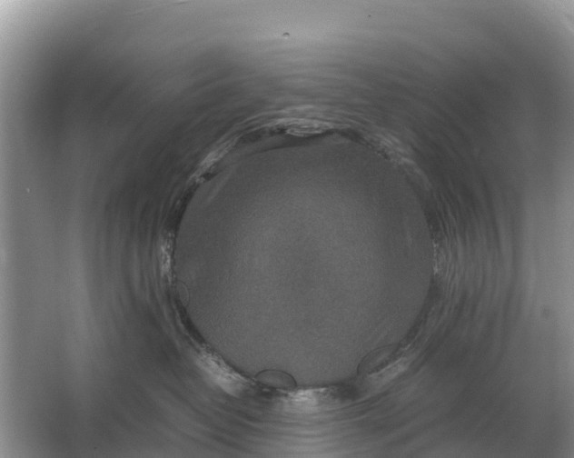 X0000064770382200602242003