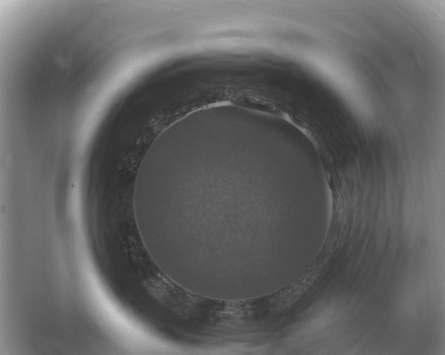 X0000064770383200602242003