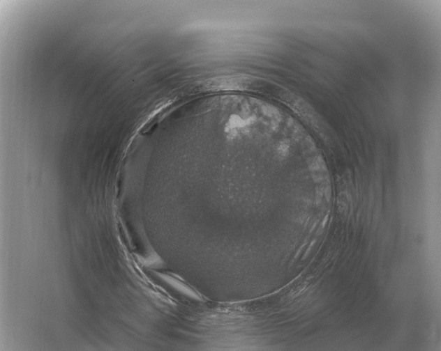 X0000064770386200602242002