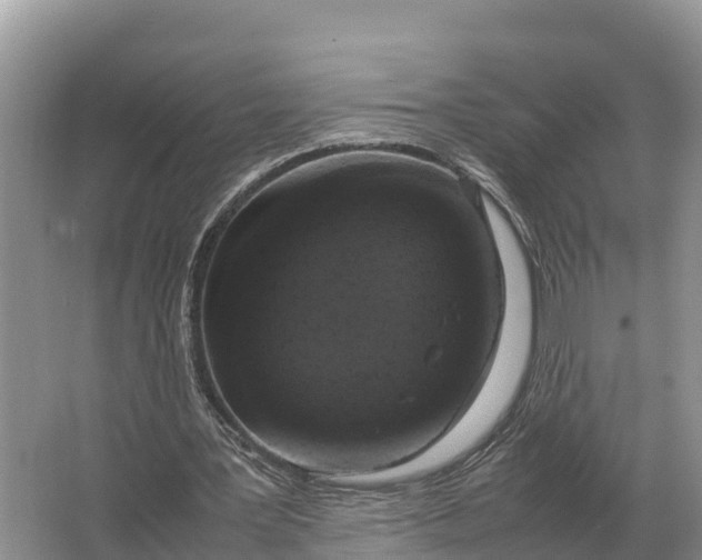 X0000064770387200602242002