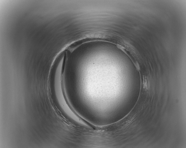 X0000064770388200602242002