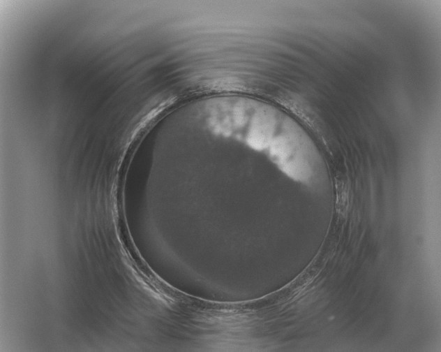 X0000064770390200602242002