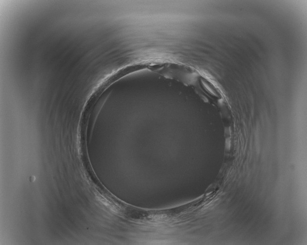 X0000064770391200602242002