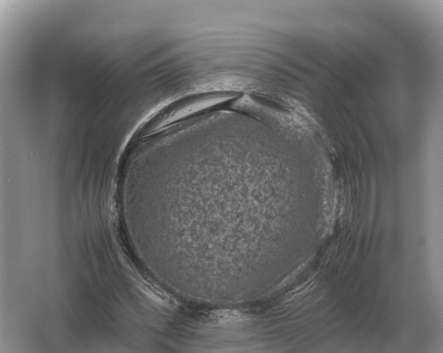 X0000064770392200602242002