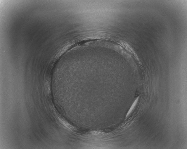 X0000064770393200602242002