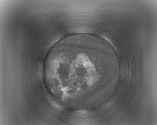 X0000064770394200602242002