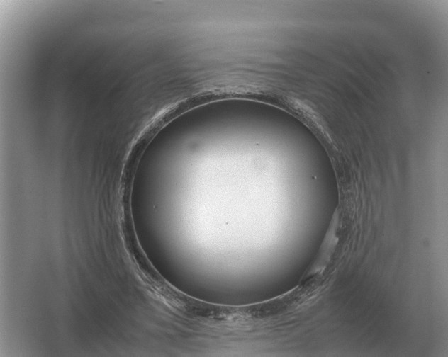 X0000064770395200602242002