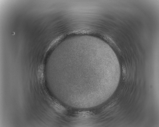 X0000064770396200602242002