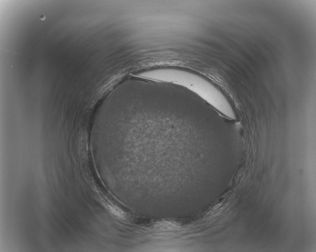 X0000064770397200602242002