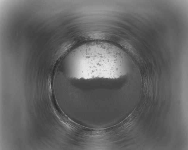 X0000064770398200602242002