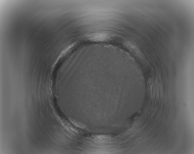 X0000064770400200602242002