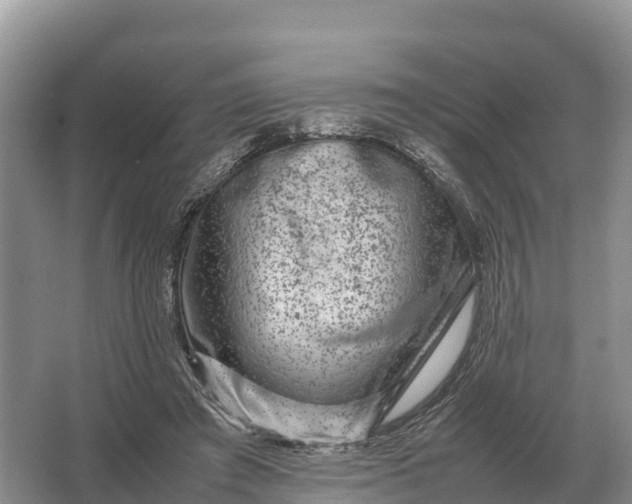 X0000064770401200602242001