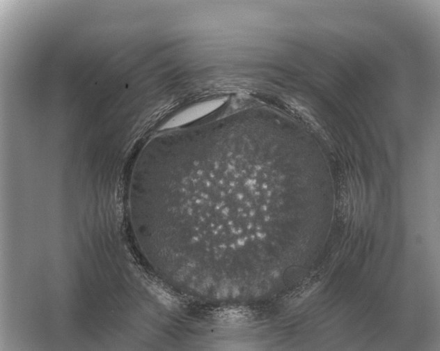 X0000064770402200602242001