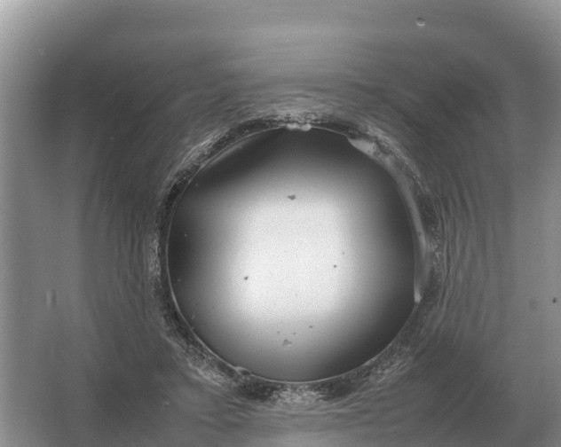 X0000064770403200602242001