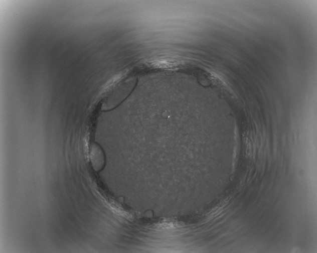 X0000064770404200602242001