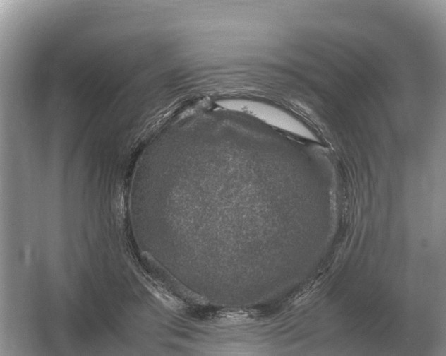 X0000064770405200602242001