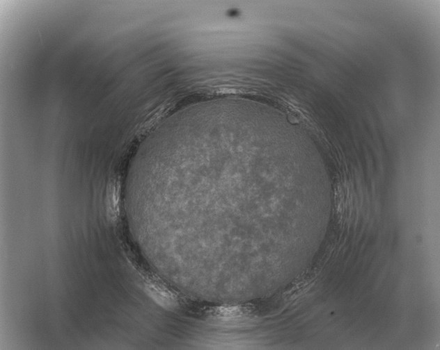 X0000064770406200602242001