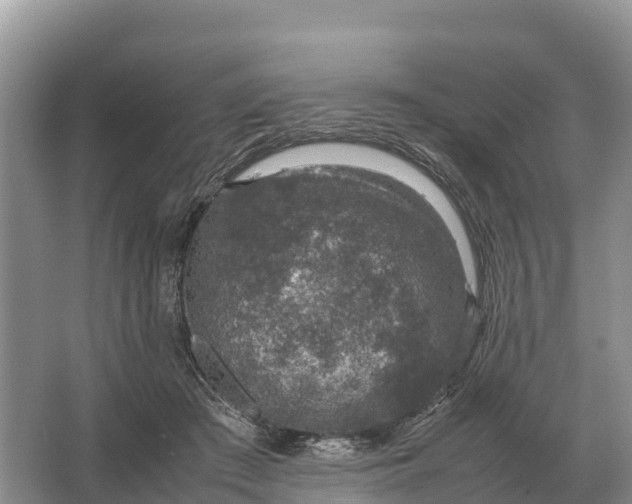 X0000064770409200602242001