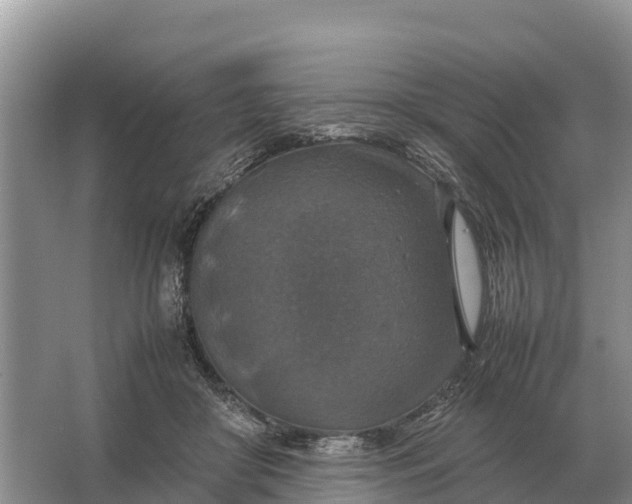 X0000064770410200602242001