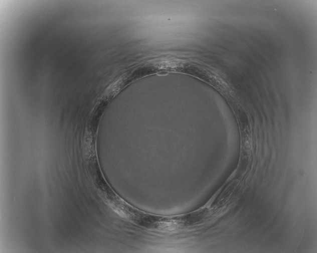 X0000064770411200602242001