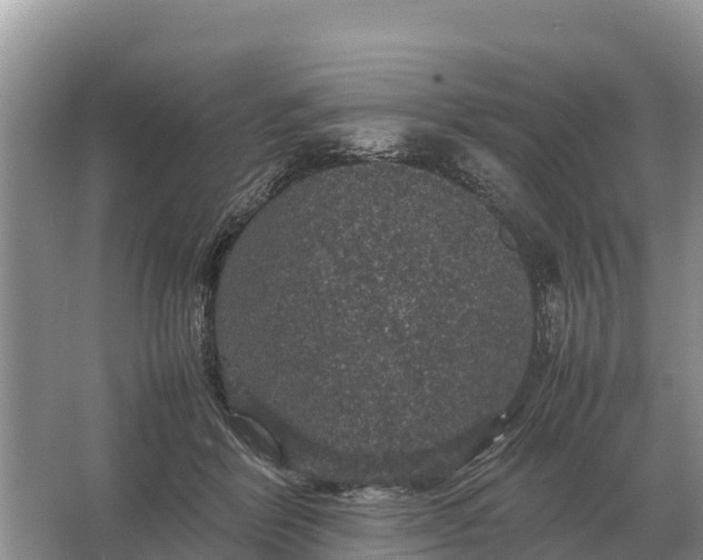 X0000064770412200602242001