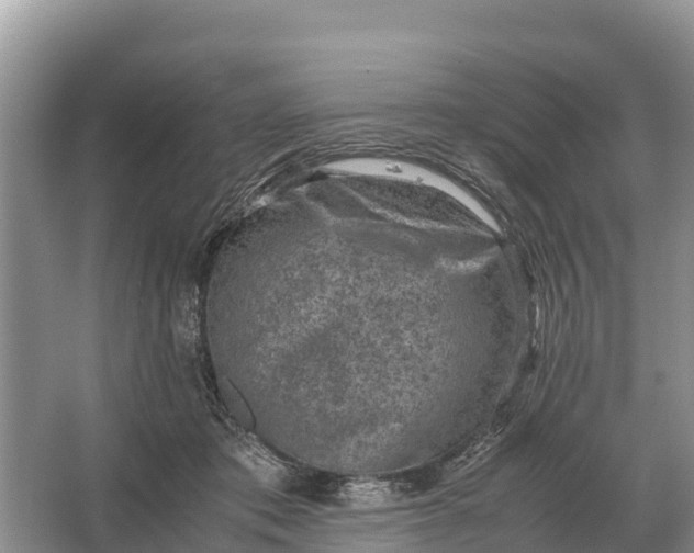 X0000064770413200602242001