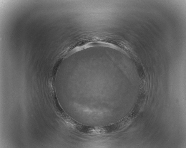 X0000064770415200602242001