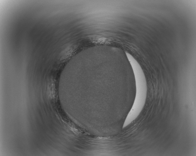 X0000064770416200602242001