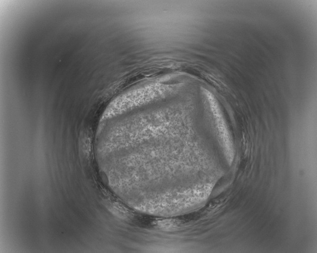 X0000064770417200602242001