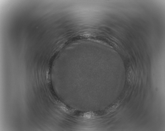 X0000064770420200602242001