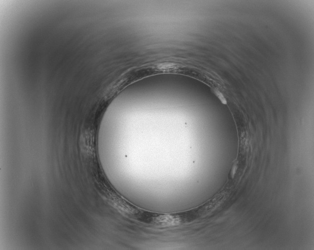 X0000064770421200602242001