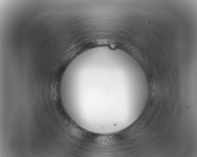 X0000064770422200602242001