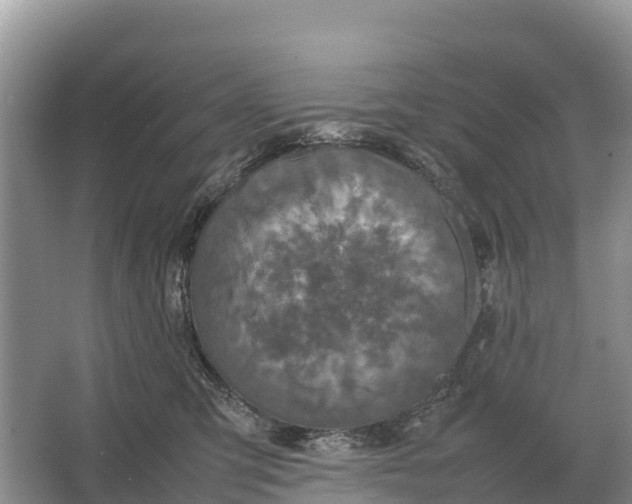 X0000064770423200602242001